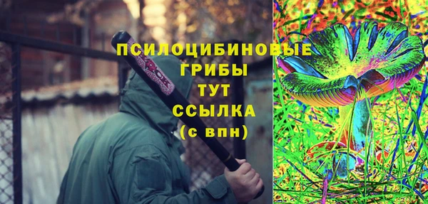 МДПВ Лагань