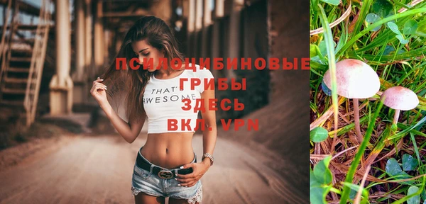 мдпв Лиски
