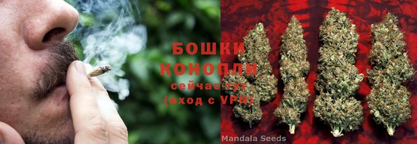 МДПВ Лагань