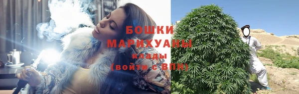 МДПВ Лагань